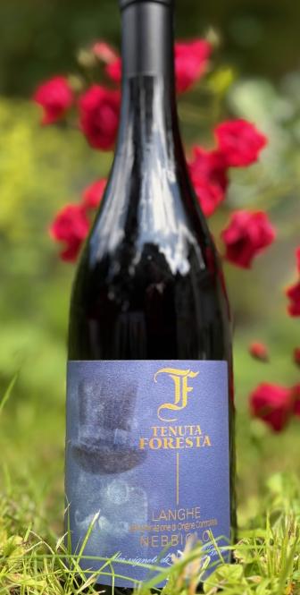 Langhe DOC Nebbiolo 